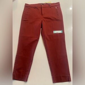 NWT Level Francis Straight Leg Pant Burnt Orange Size 14W